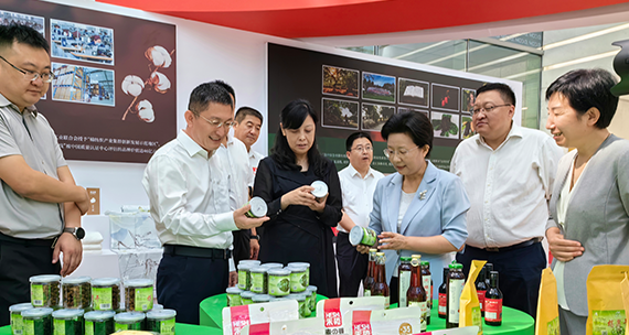 8月25日德州市人民政府副市长李佳芮等带队走进京东